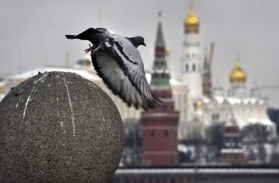 “I love Russia” вместо “Russia, goodbye!”... на пятом году войны