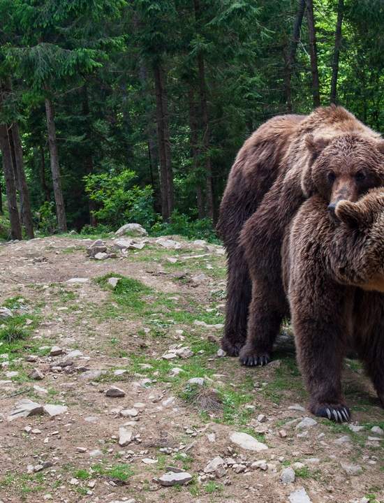 Нацпарки вблизи: Закарпатский Синевир