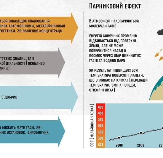 2019 год: планета Земля горит и тонет одновременно