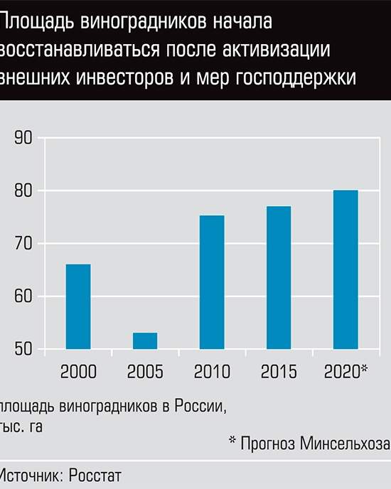 Российские виноделы получат карт-бланш