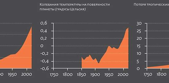 Паутина жизни редеет на глазах